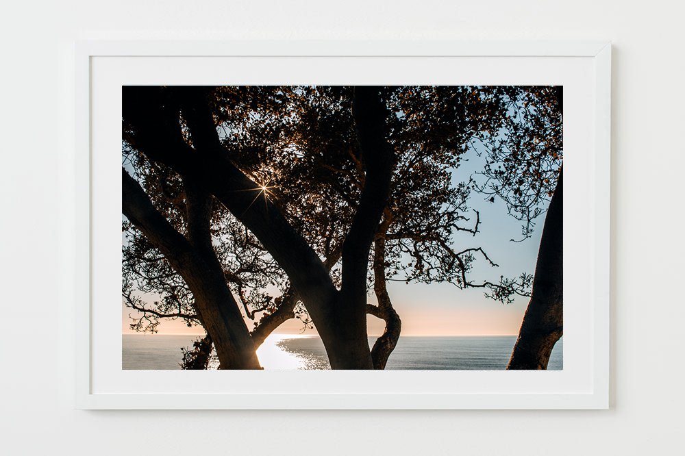 wilder-california-coastal-pelican-wall-art-vertical-white-mat.jpg