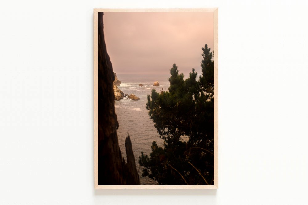 wilder-california-coastal-pelican-wall-art-vertical-natural-no-mat-13.jpg