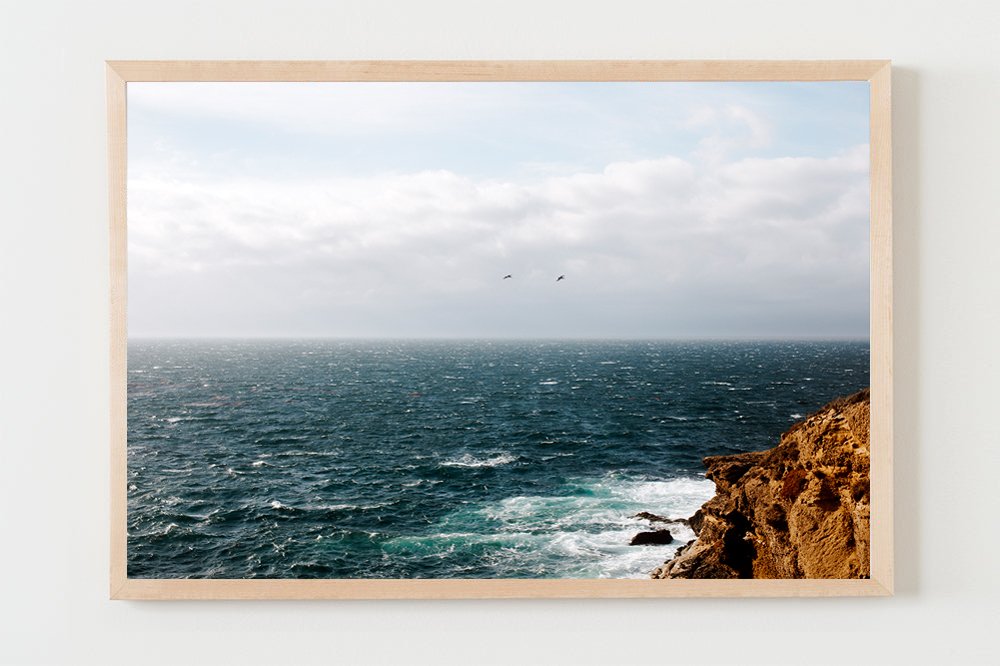 wilder-california-coastal-pelican-wall-art-natural-frame-no-mat-4.jpg
