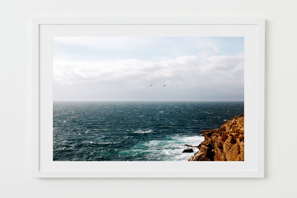wilder-california-coastal-pelican-wall-art-vertical-white-mat-4.jpg