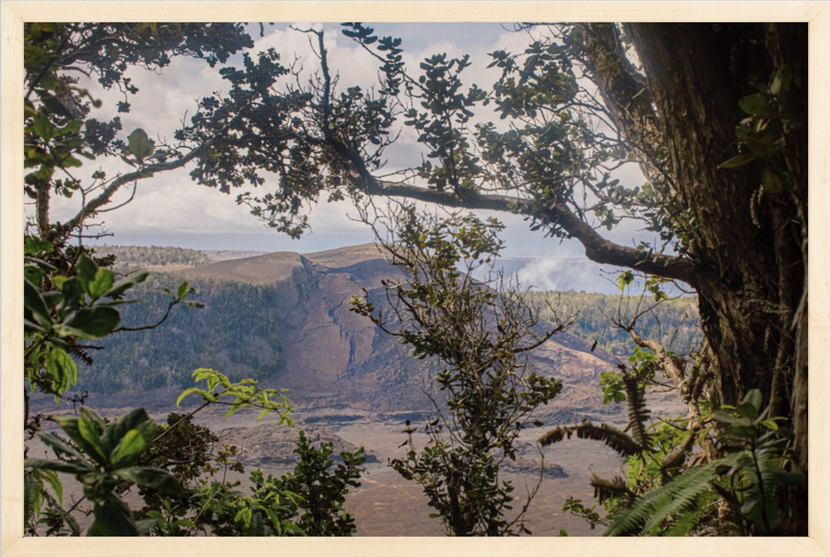 wilder-california-hawaii-volcanoes-national-park-caldera-wall-art.png