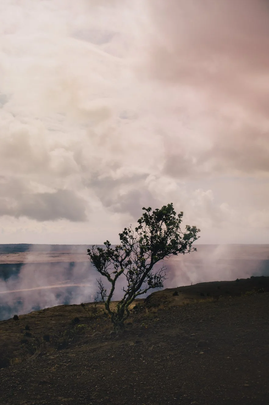 wilder-california-hawaii-volcanic-steam-landscape-fine-art-photography-wall-art.jpg