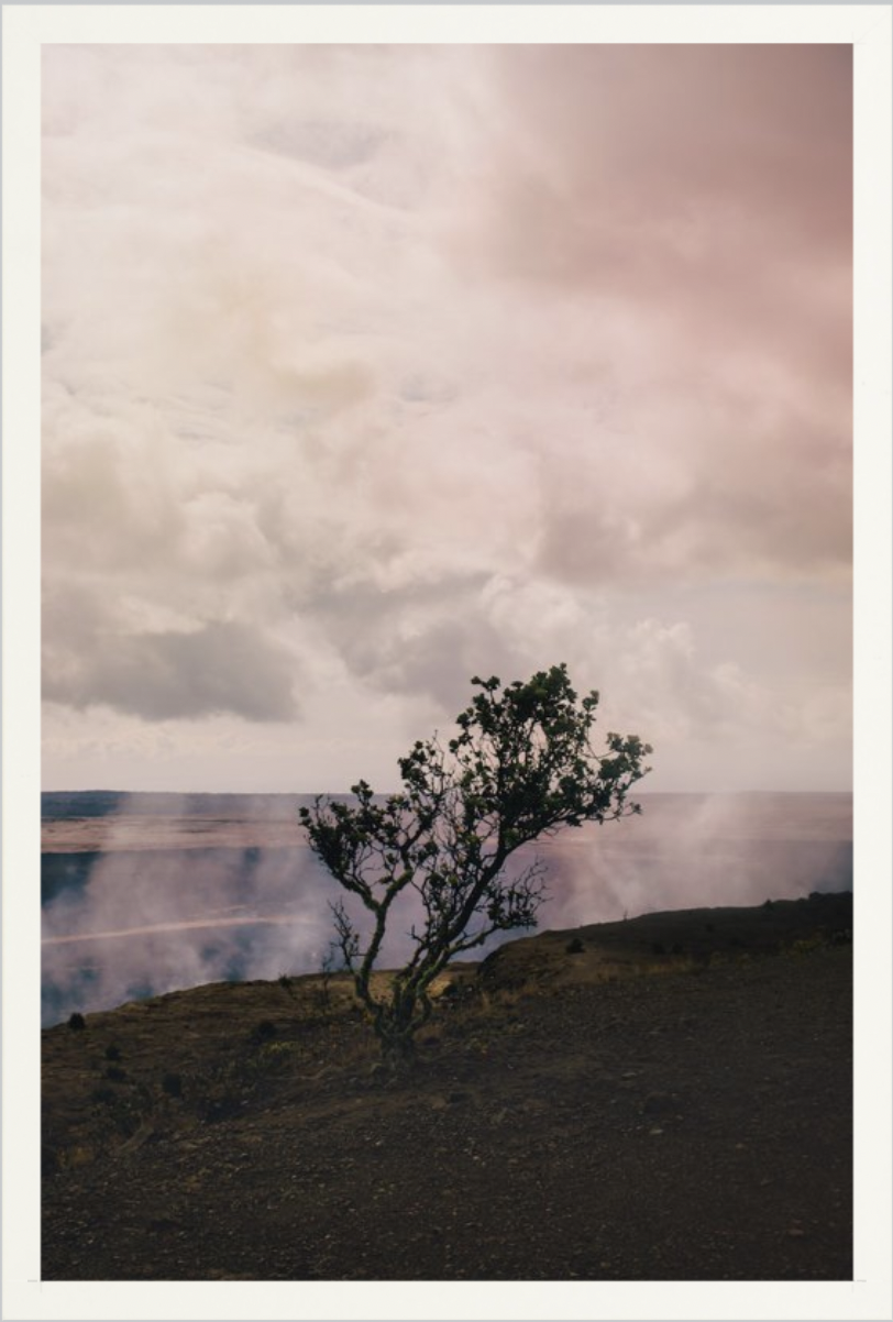 wilder-california-hawaii-volcanic-steam-landscape-fine-art-photography-wall-art.png