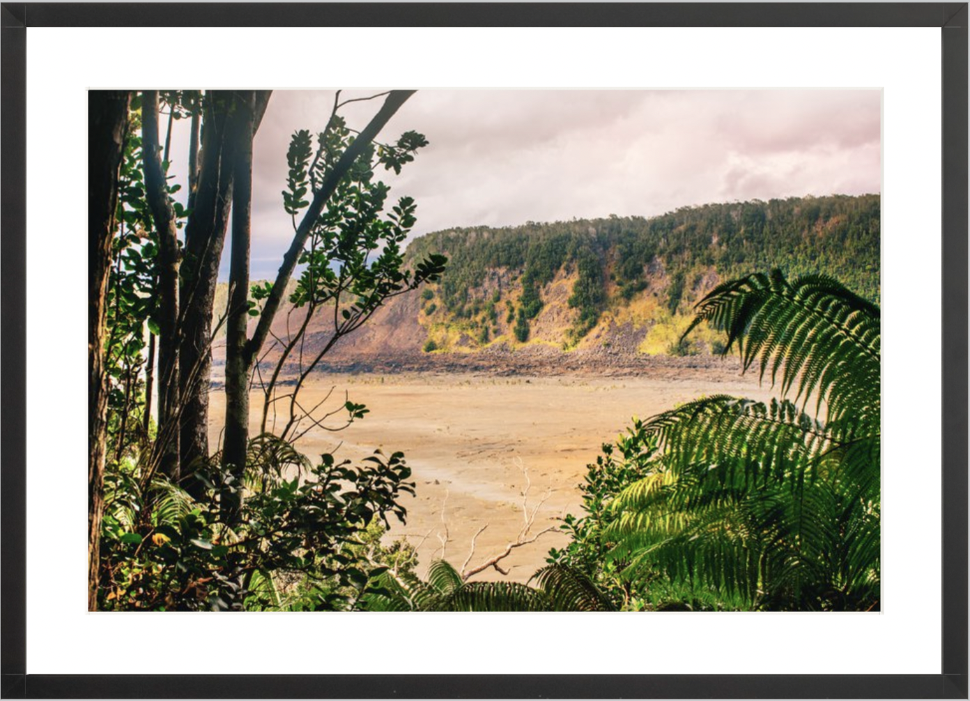 wilder-california-hawaii-volcanic-rainforest-fine-art-photography-wall-art.png
