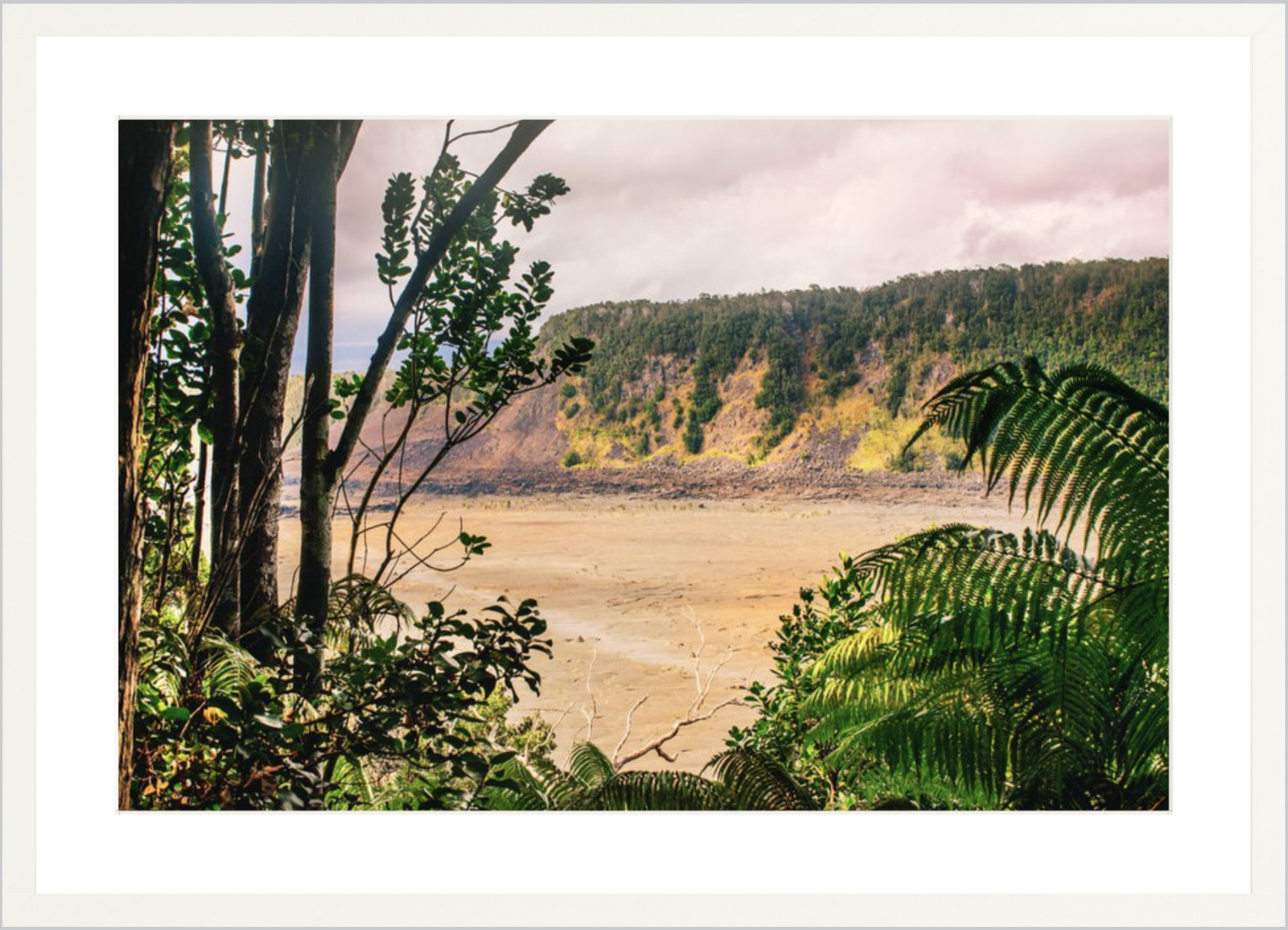 wilder-california-hawaii-volcanic-rainforest-fine-art-photography-wall-art.png