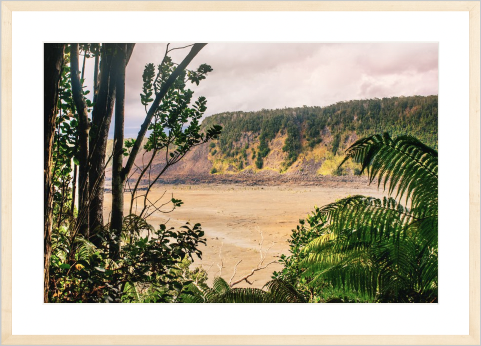 wilder-california-hawaii-volcanic-rainforest-fine-art-photography-wall-art.png