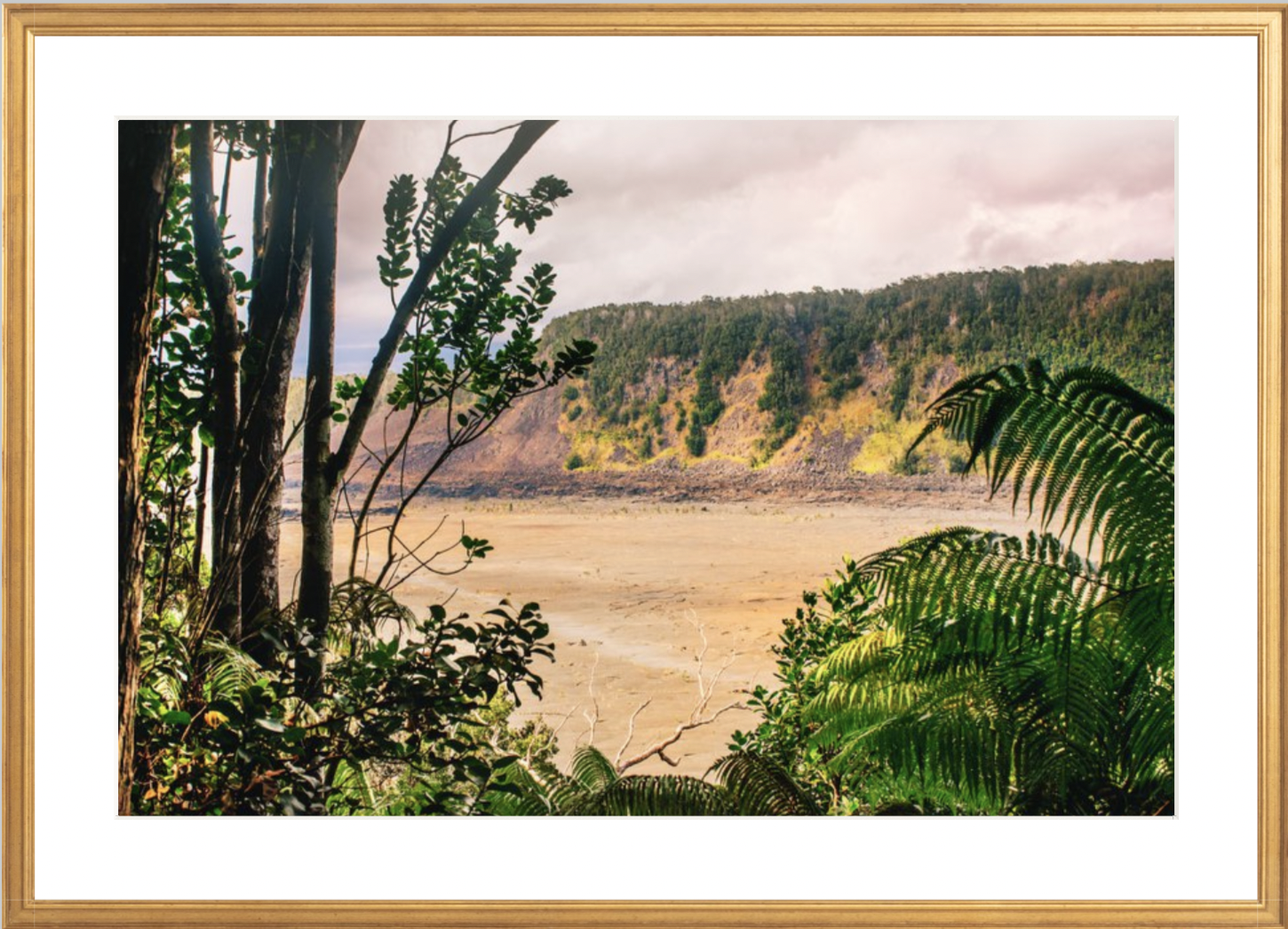 wilder-california-hawaii-volcanic-rainforest-fine-art-photography-wall-art.png