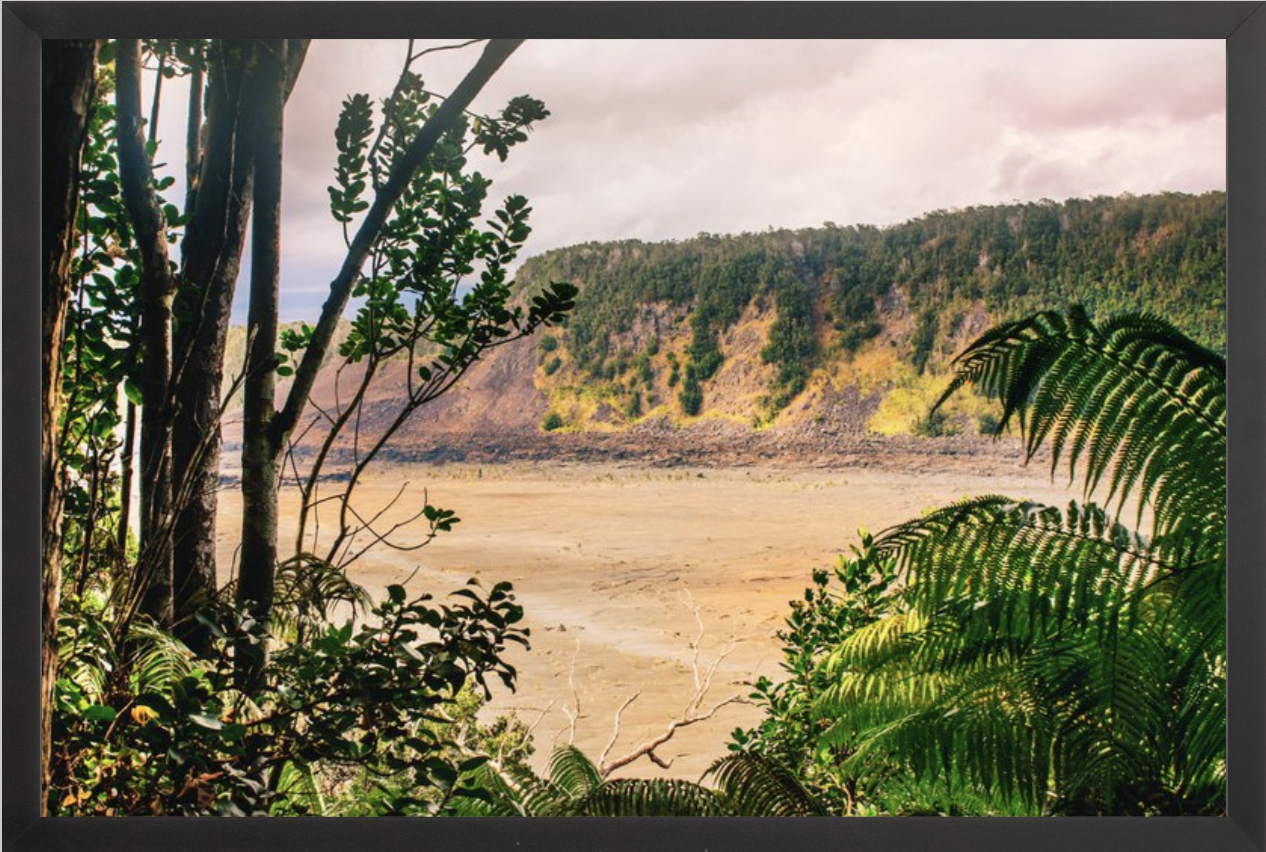 wilder-california-hawaii-volcanic-rainforest-fine-art-photography-wall-art.png