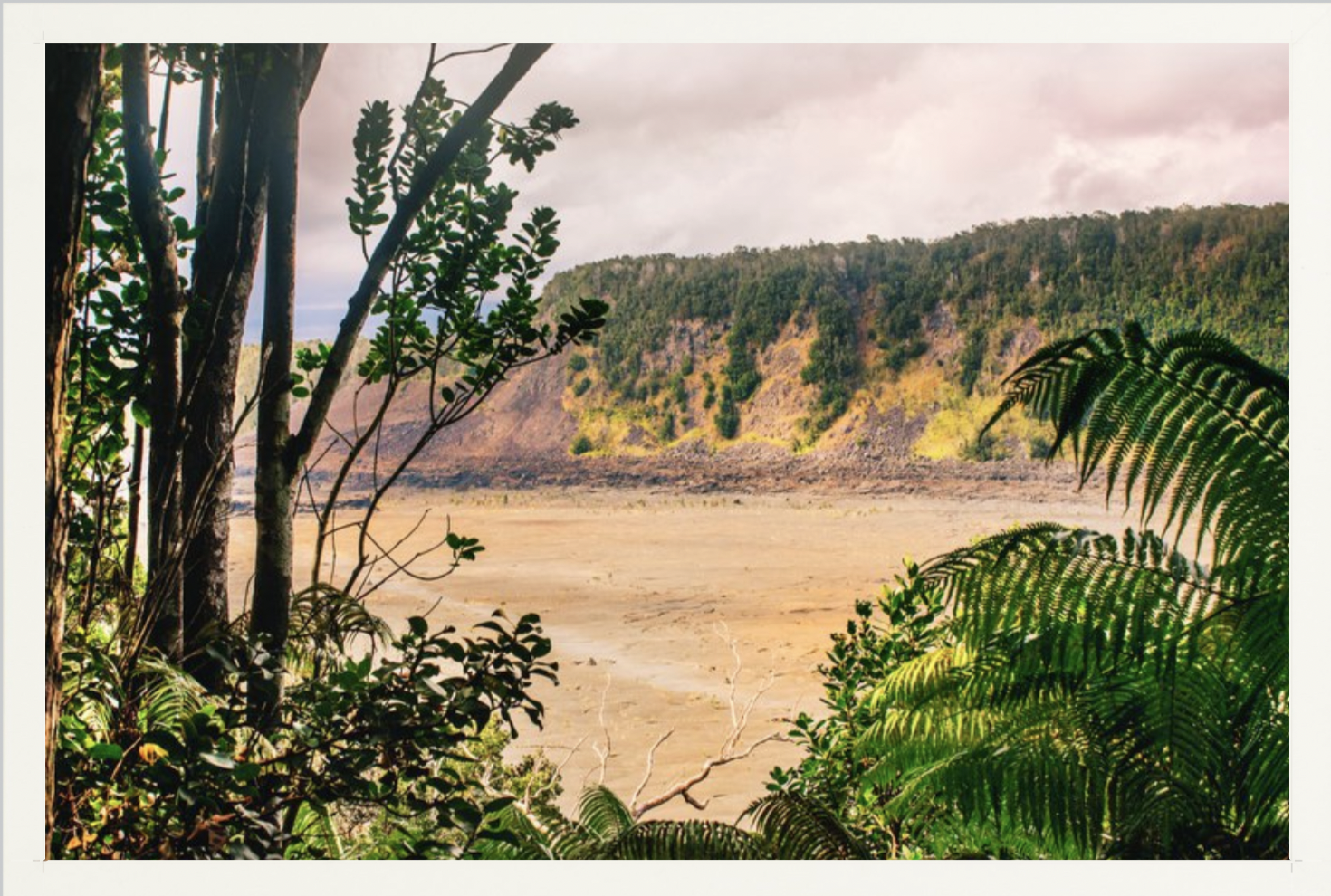 wilder-california-hawaii-volcanic-rainforest-fine-art-photography-wall-art.png