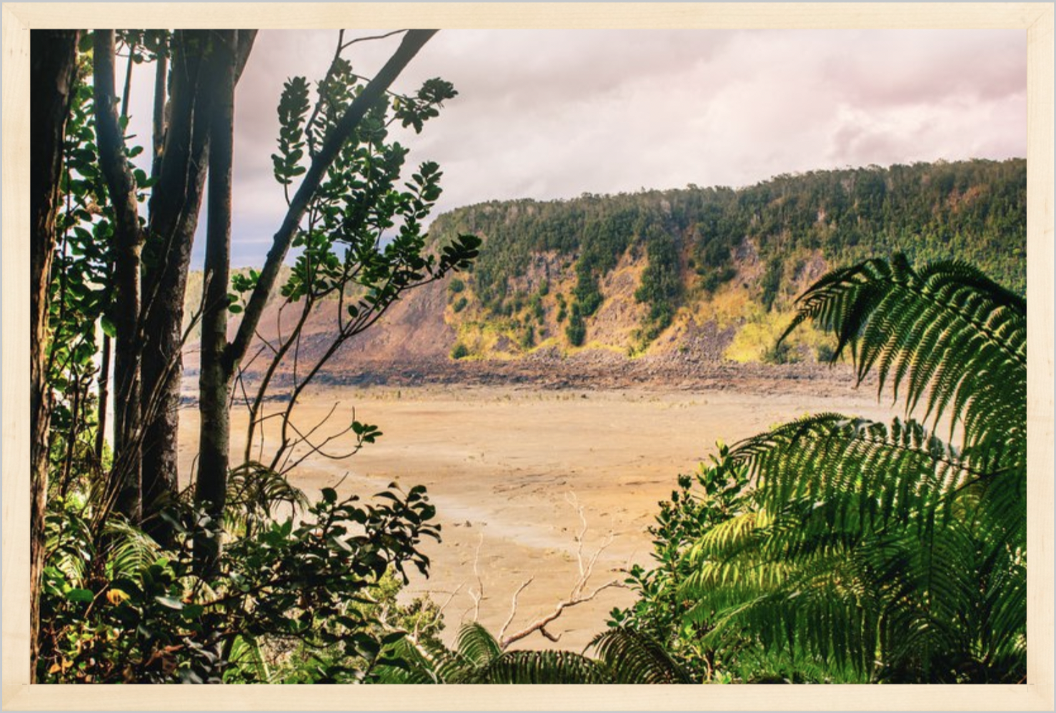 wilder-california-hawaii-volcanic-rainforest-fine-art-photography-wall-art.png