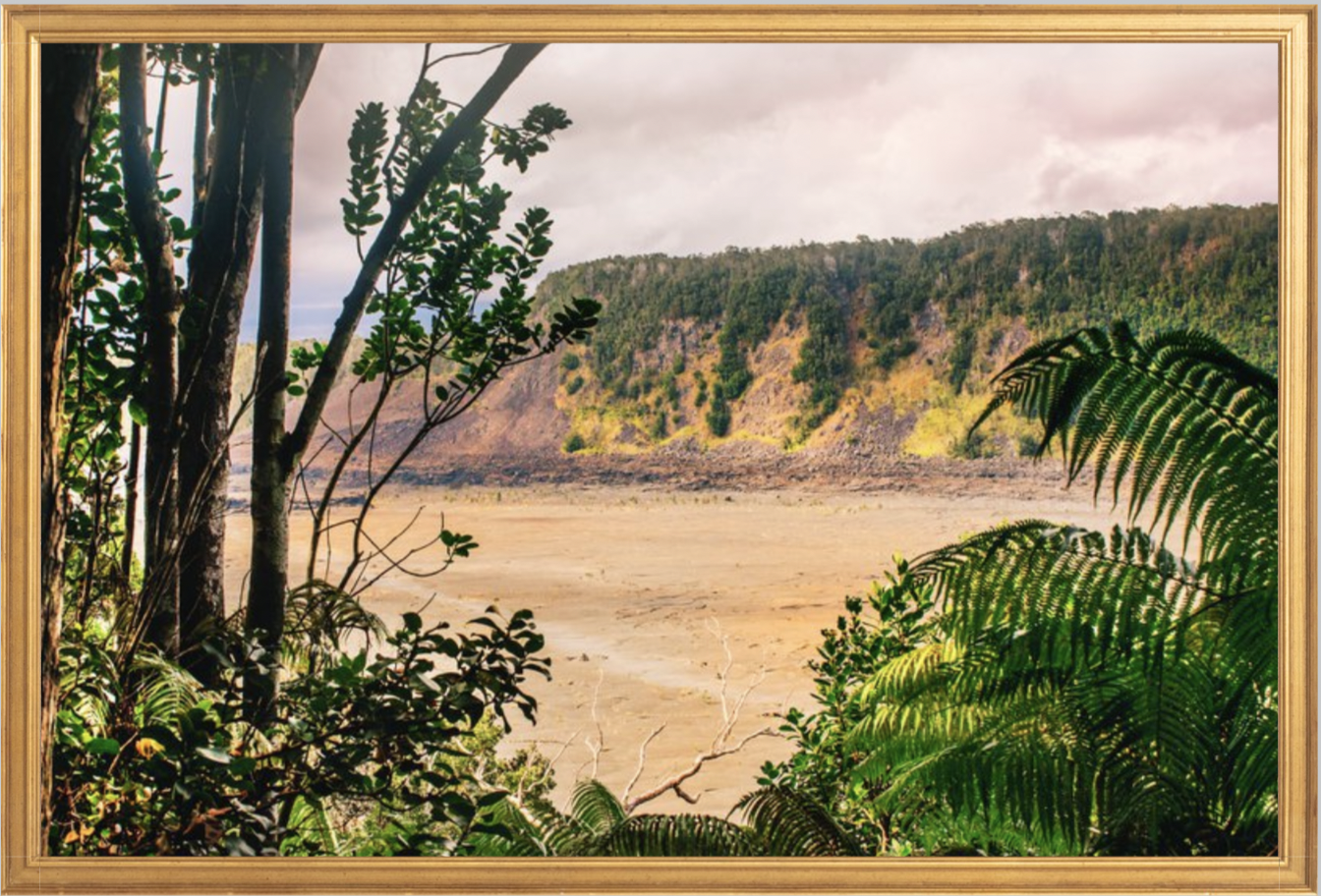 wilder-california-hawaii-volcanic-rainforest-fine-art-photography-wall-art.png