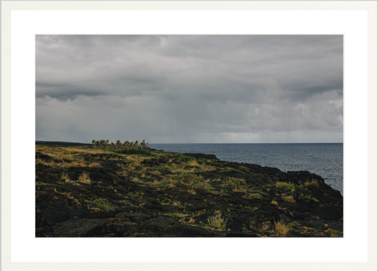 wilder-california-hawaii-ocean-photography-wall-art.png
