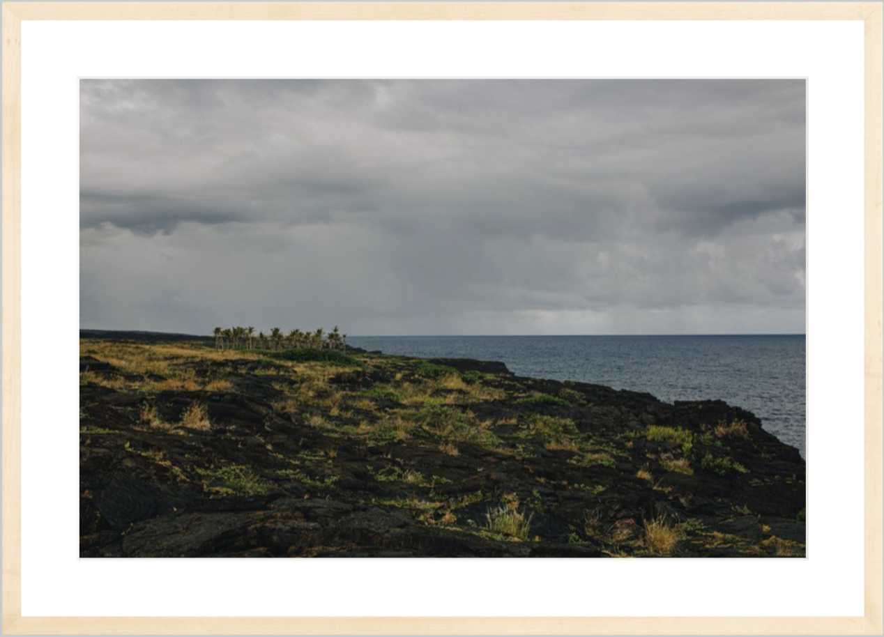 wilder-california-hawaii-ocean-photography-wall-art.png