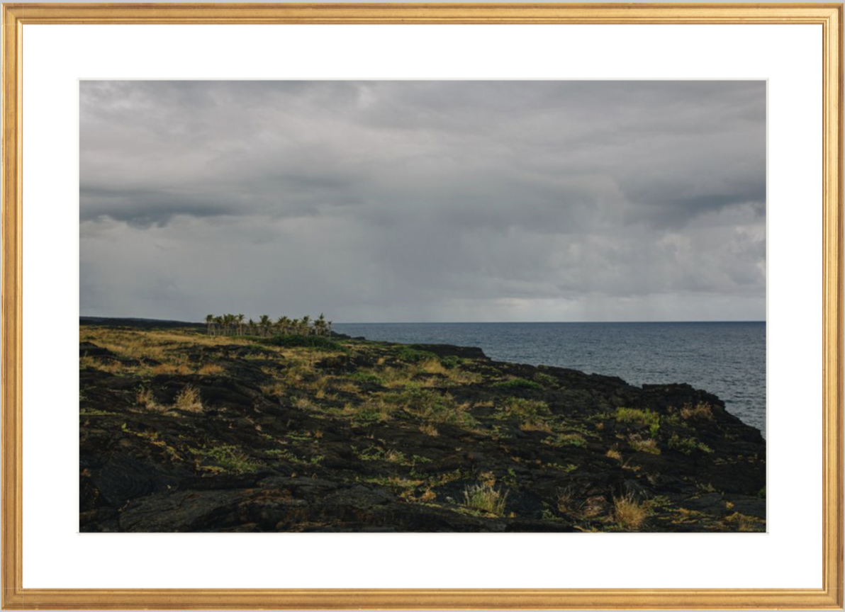 wilder-california-hawaii-ocean-photography-wall-art.png