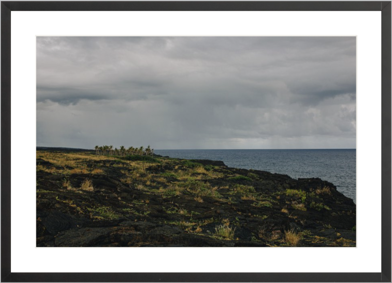 wilder-california-hawaii-ocean-photography-wall-art.png