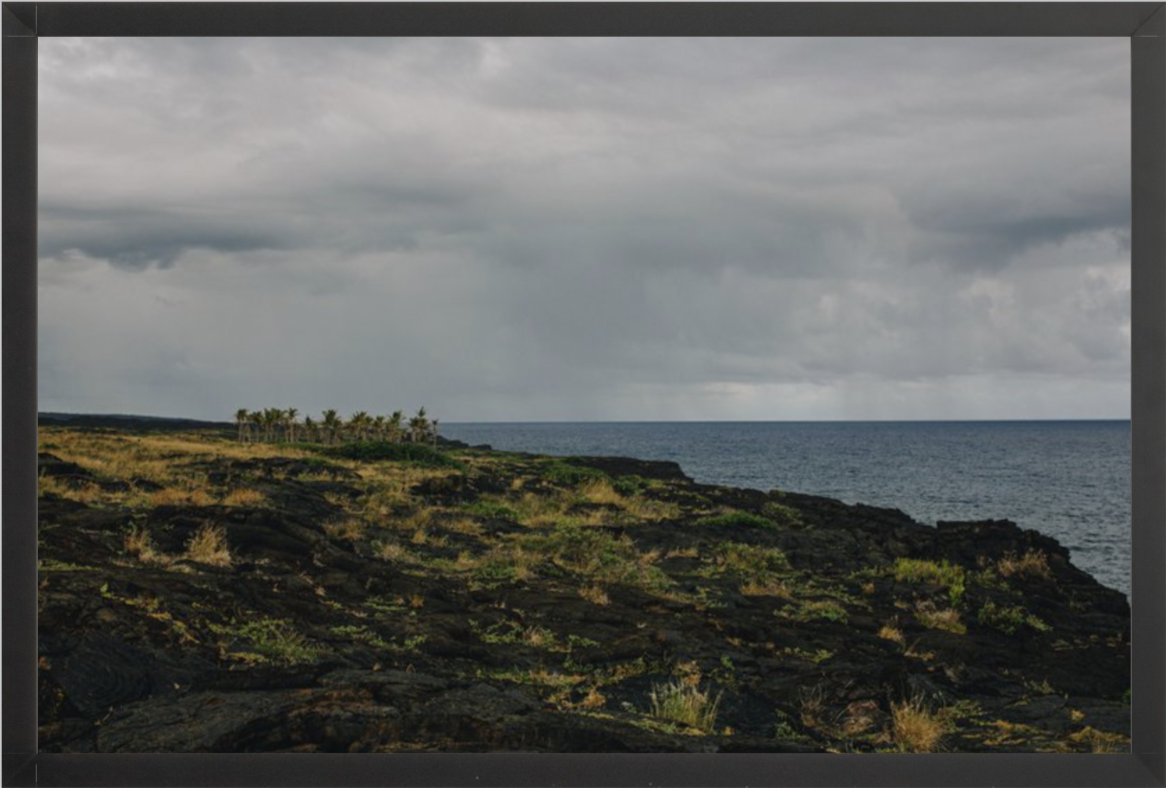 wilder-california-hawaii-ocean-photography-wall-art.png