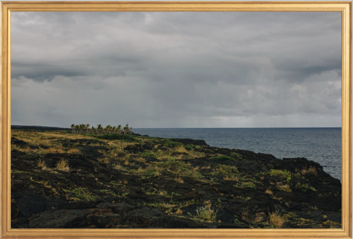 wilder-california-hawaii-ocean-photography-wall-art.png