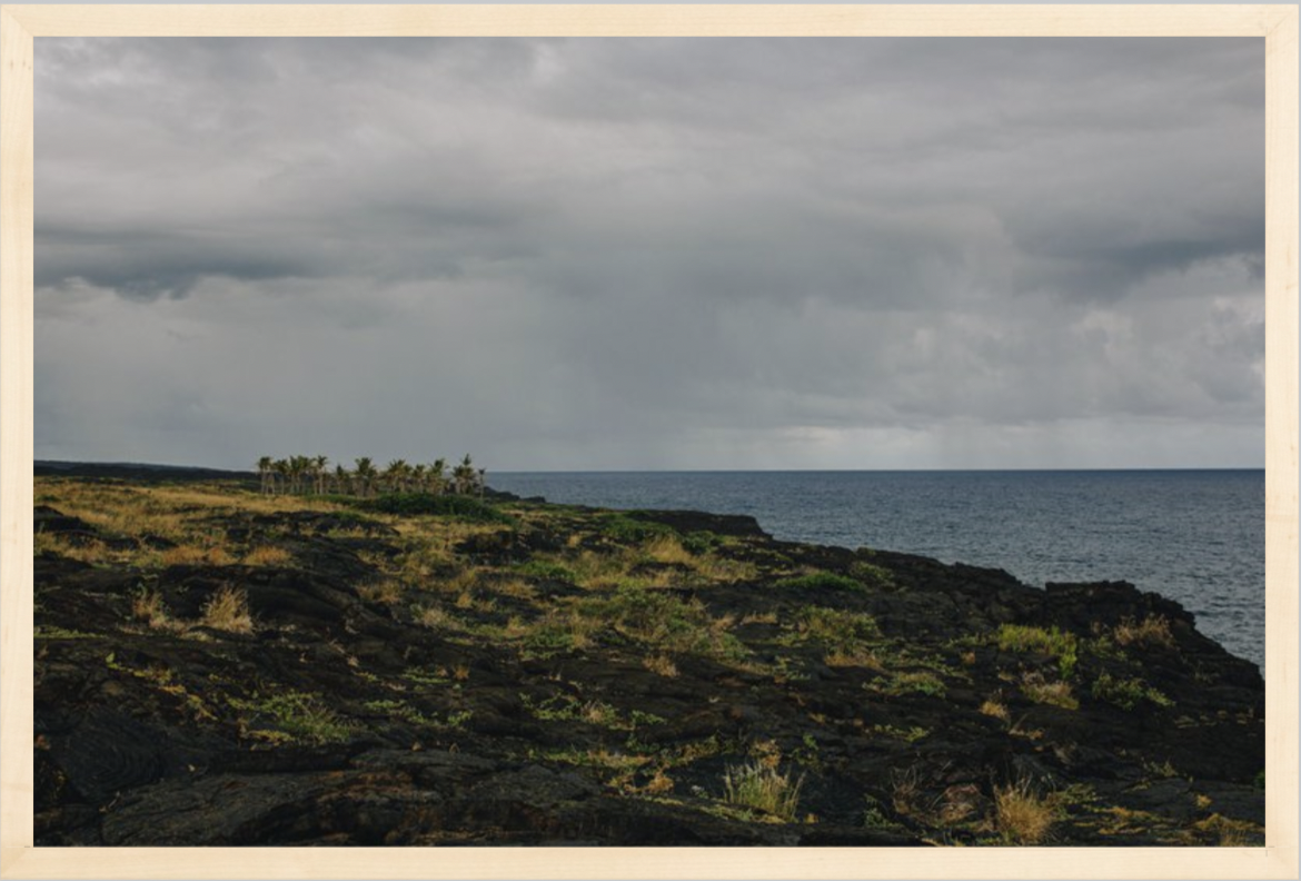 wilder-california-hawaii-ocean-photography-wall-art.png
