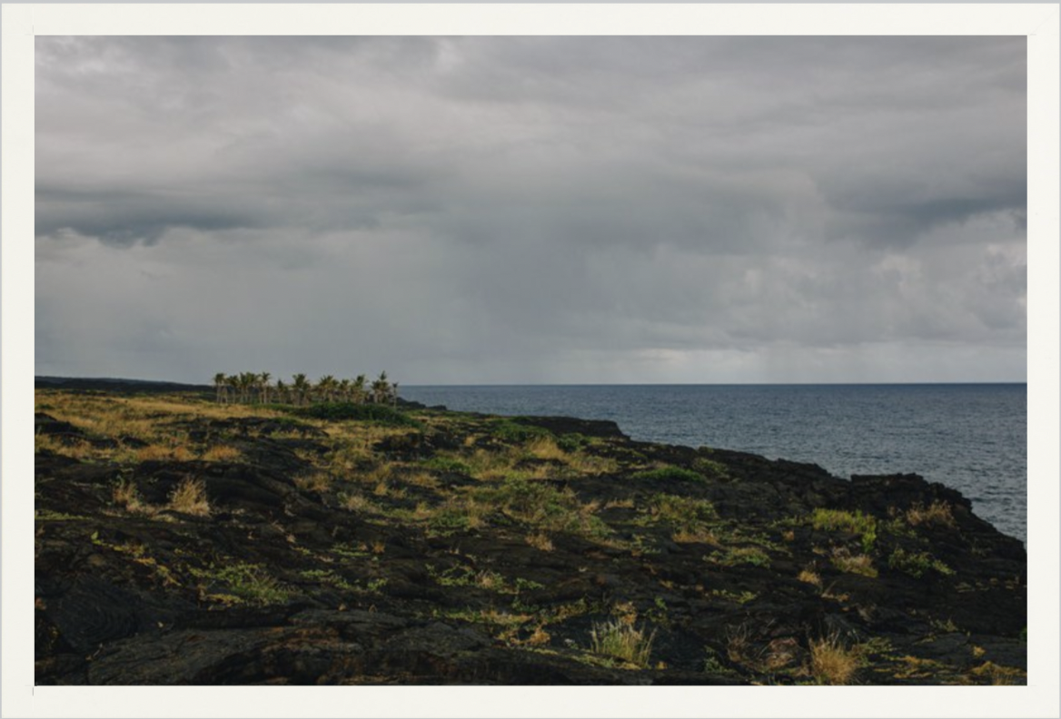 wilder-california-hawaii-ocean-photography-wall-art.png
