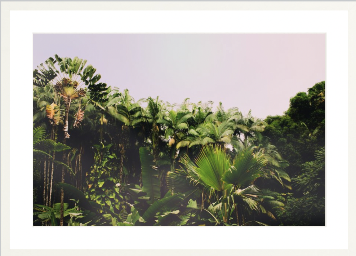 wilder-california-hawaii-palm-tree-wall-art.png
