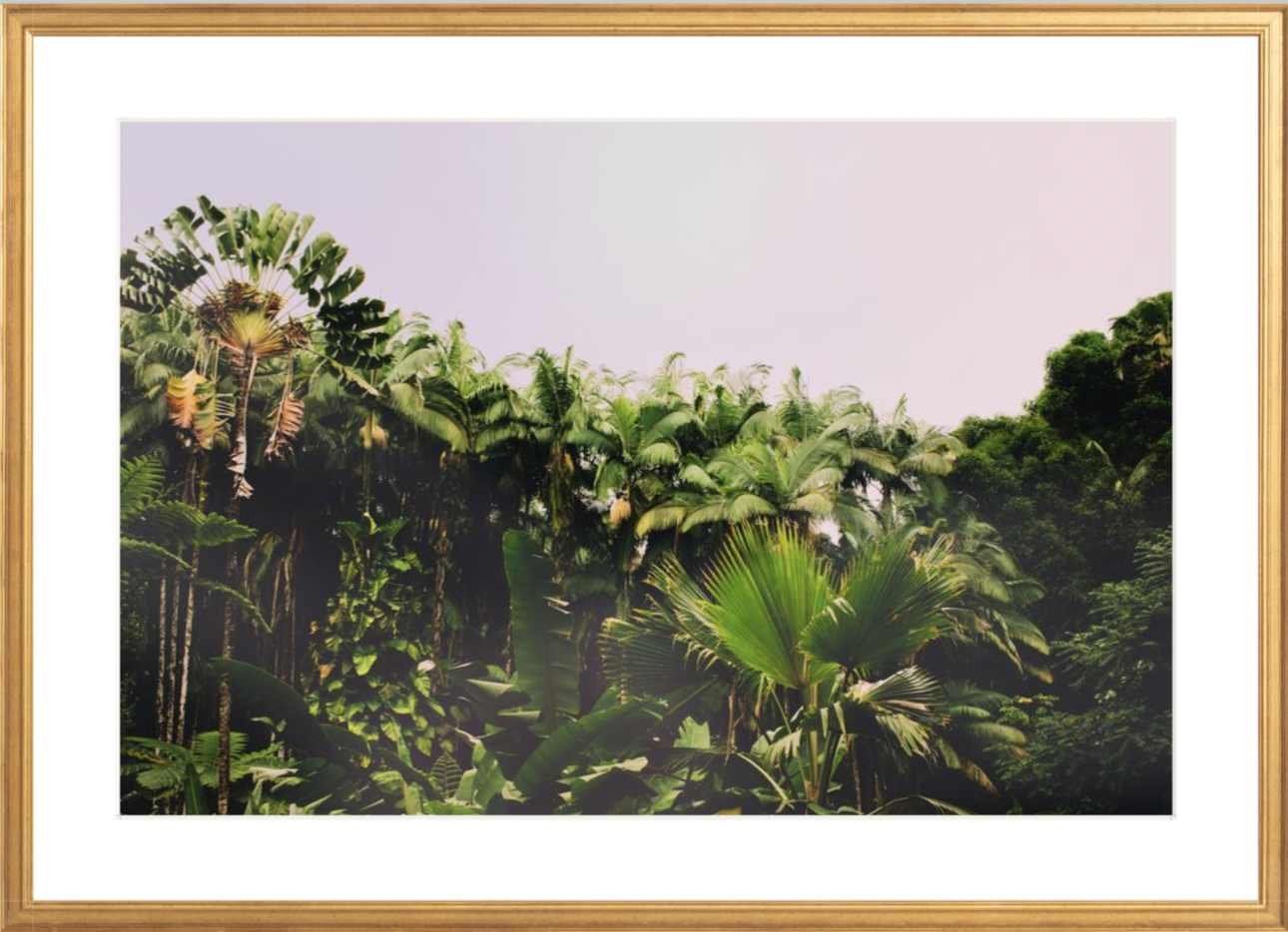 wilder-california-hawaii-palm-tree-wall-art.png