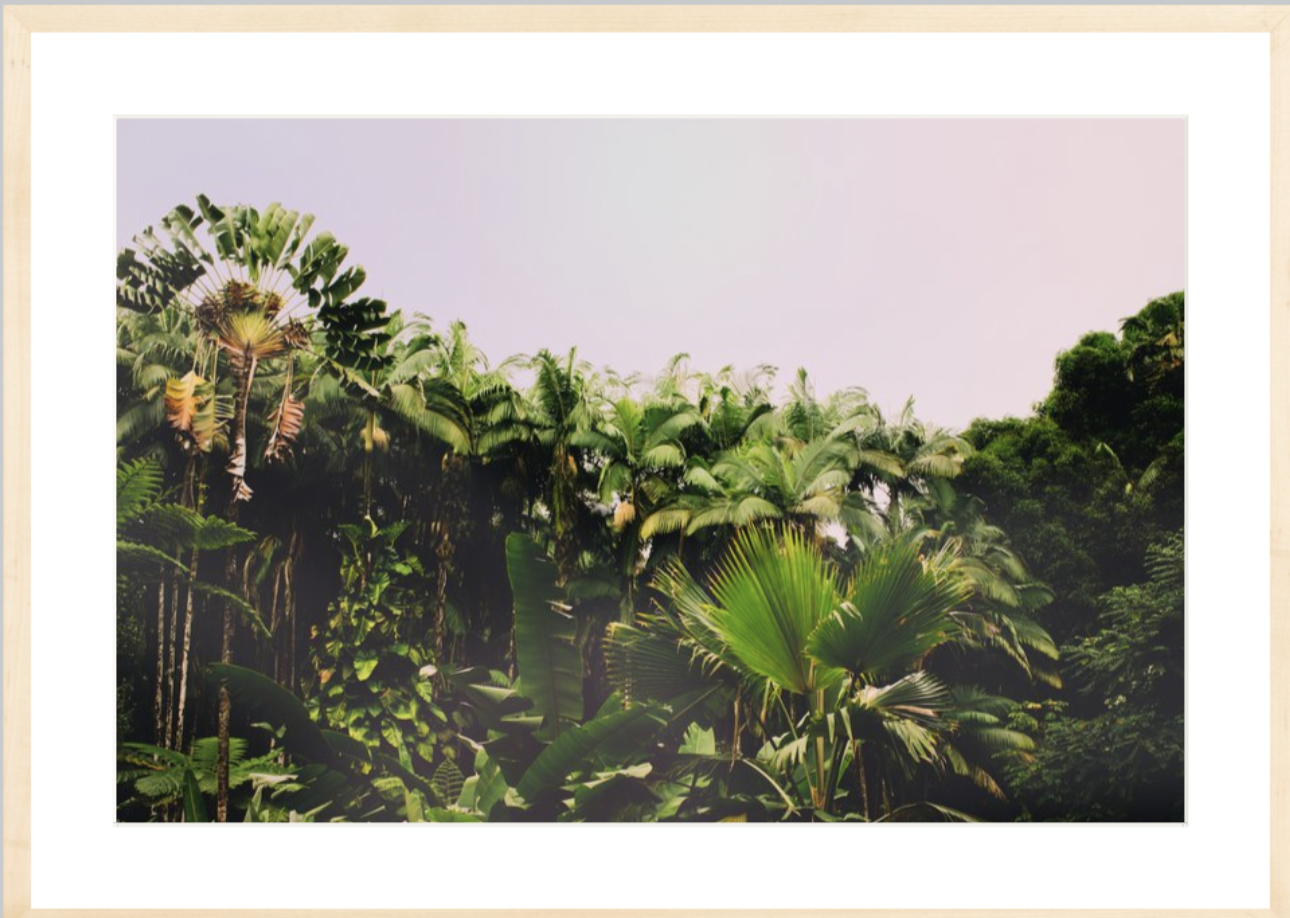wilder-california-hawaii-palm-tree-wall-art.png