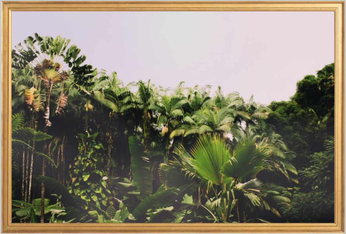 wilder-california-hawaii-palm-tree-wall-art.png