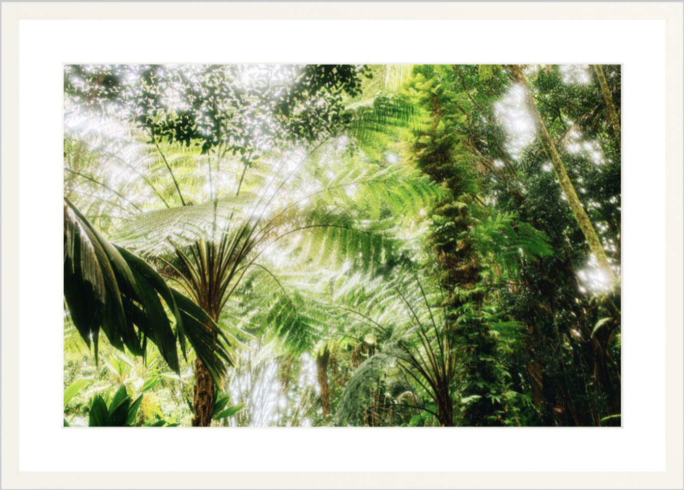 wilder-california-hawaii-palm-tree-wall-art.png
