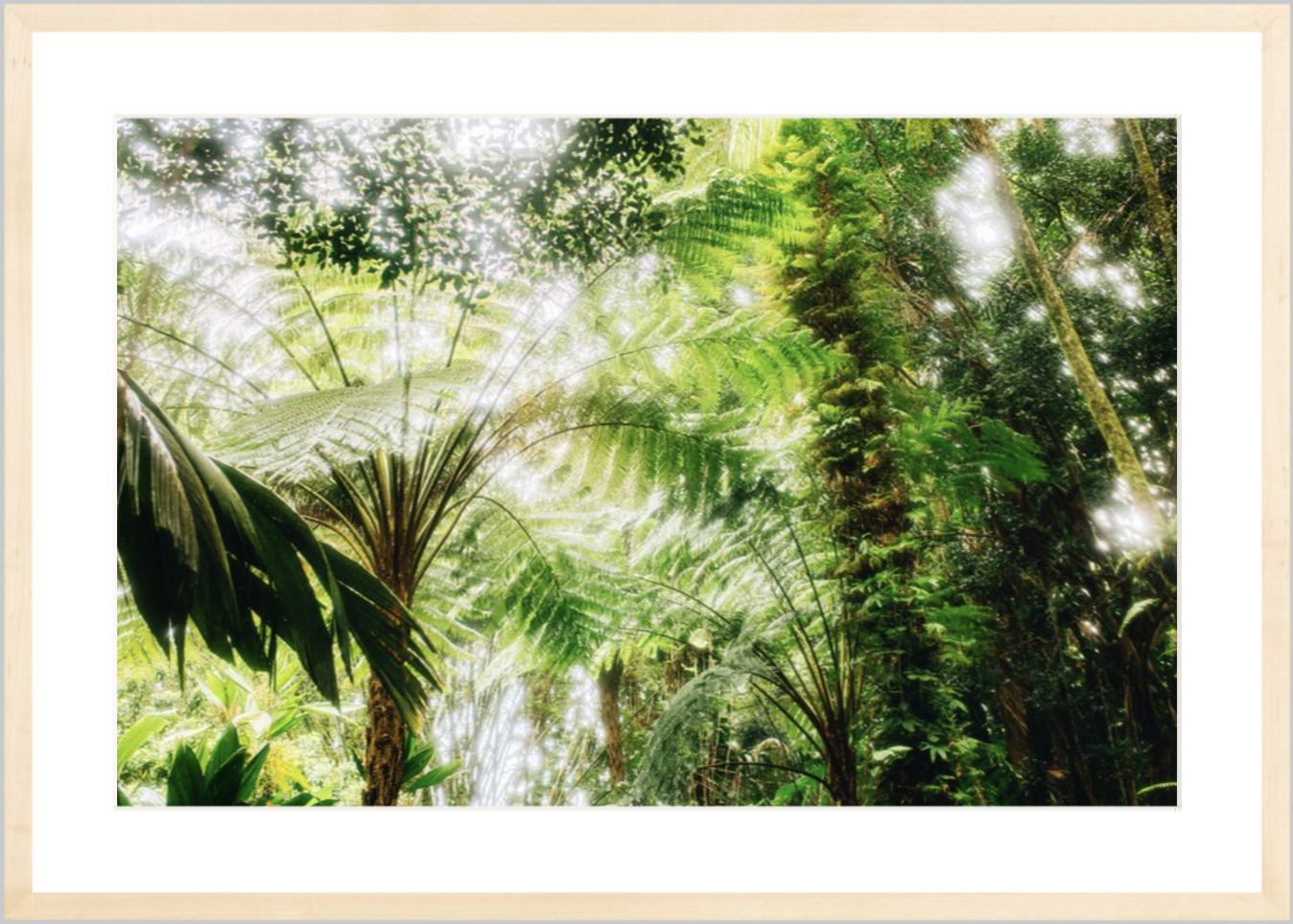wilder-california-hawaii-palm-tree-wall-art.png