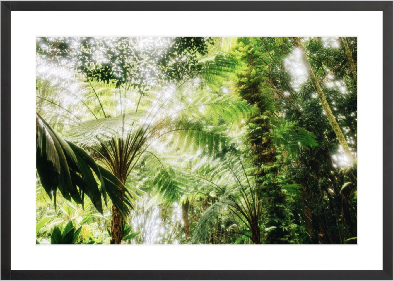 wilder-california-hawaii-palm-tree-wall-art.png