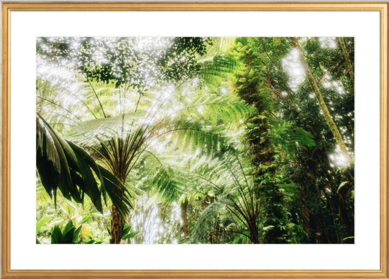 wilder-california-hawaii-palm-tree-wall-art.png