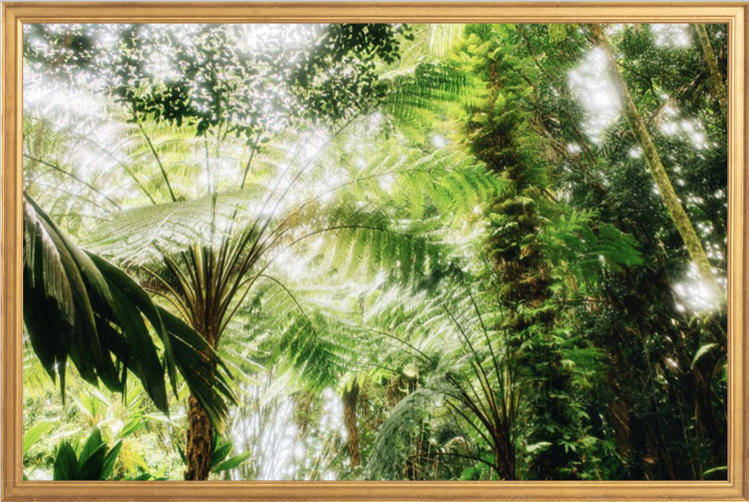 wilder-california-hawaii-palm-tree-wall-art.png