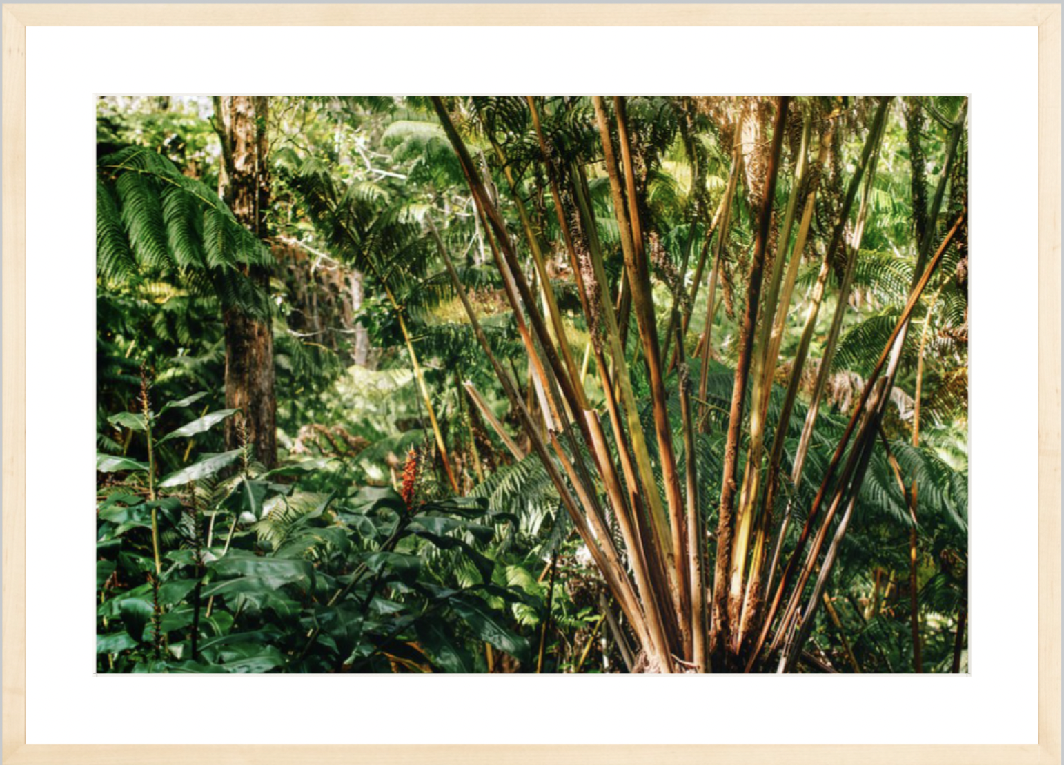 wilder-california-hawaii-palm-tree-wall-art.png