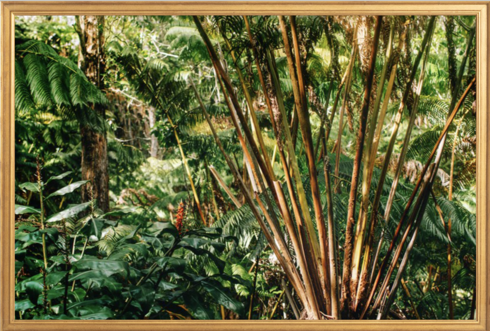 wilder-california-hawaii-palm-tree-wall-art.png