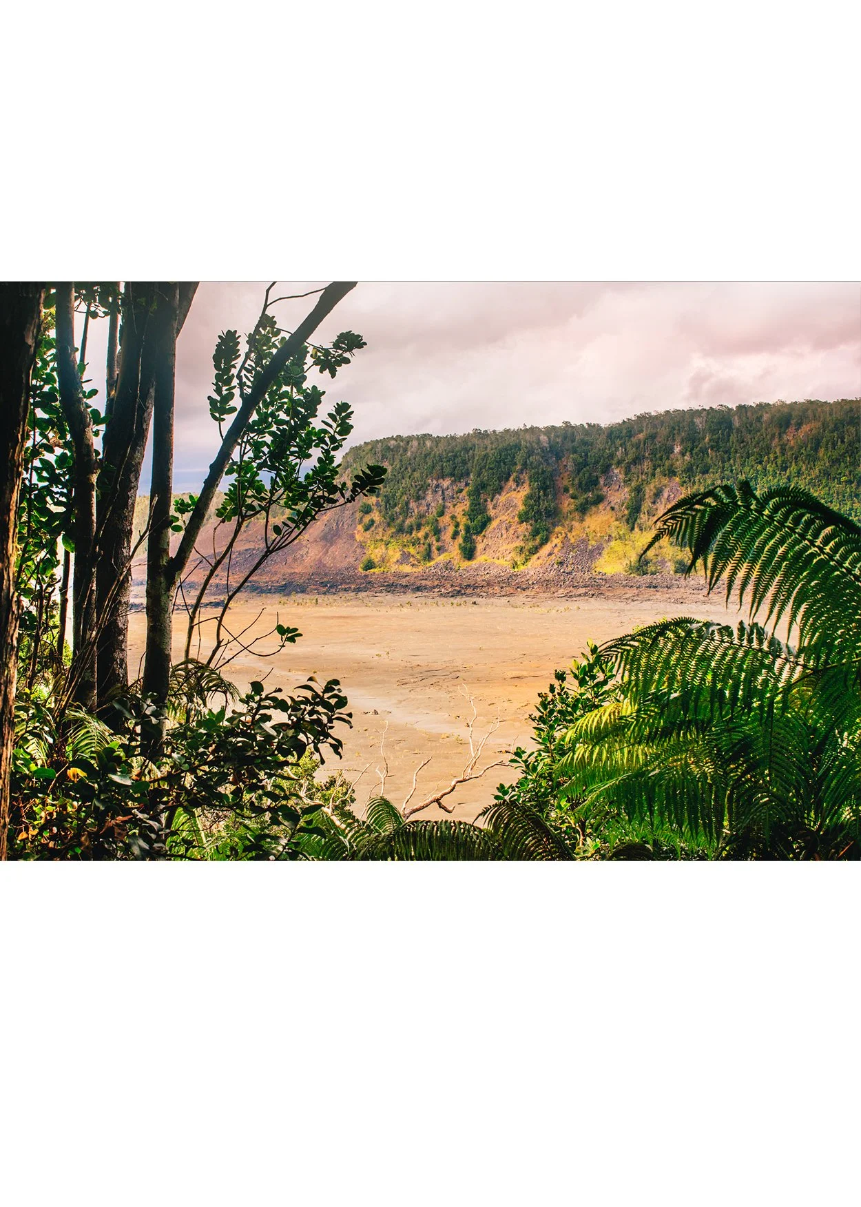 wilder-california-hawaii-ocean-photography-wall-art.jpg