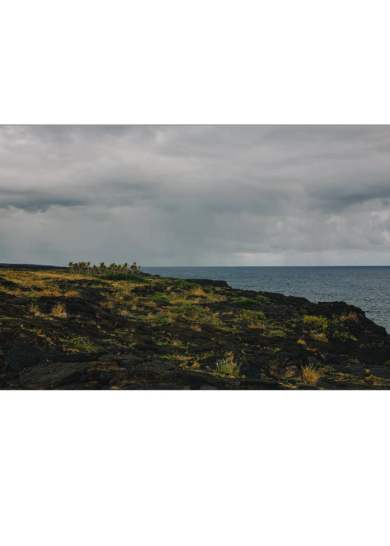 wilder-california-hawaii-ocean-photography-wall-art.jpg