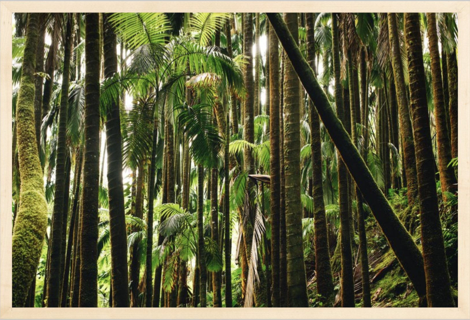 wilder-california-hawaii-island-landscape-print.png