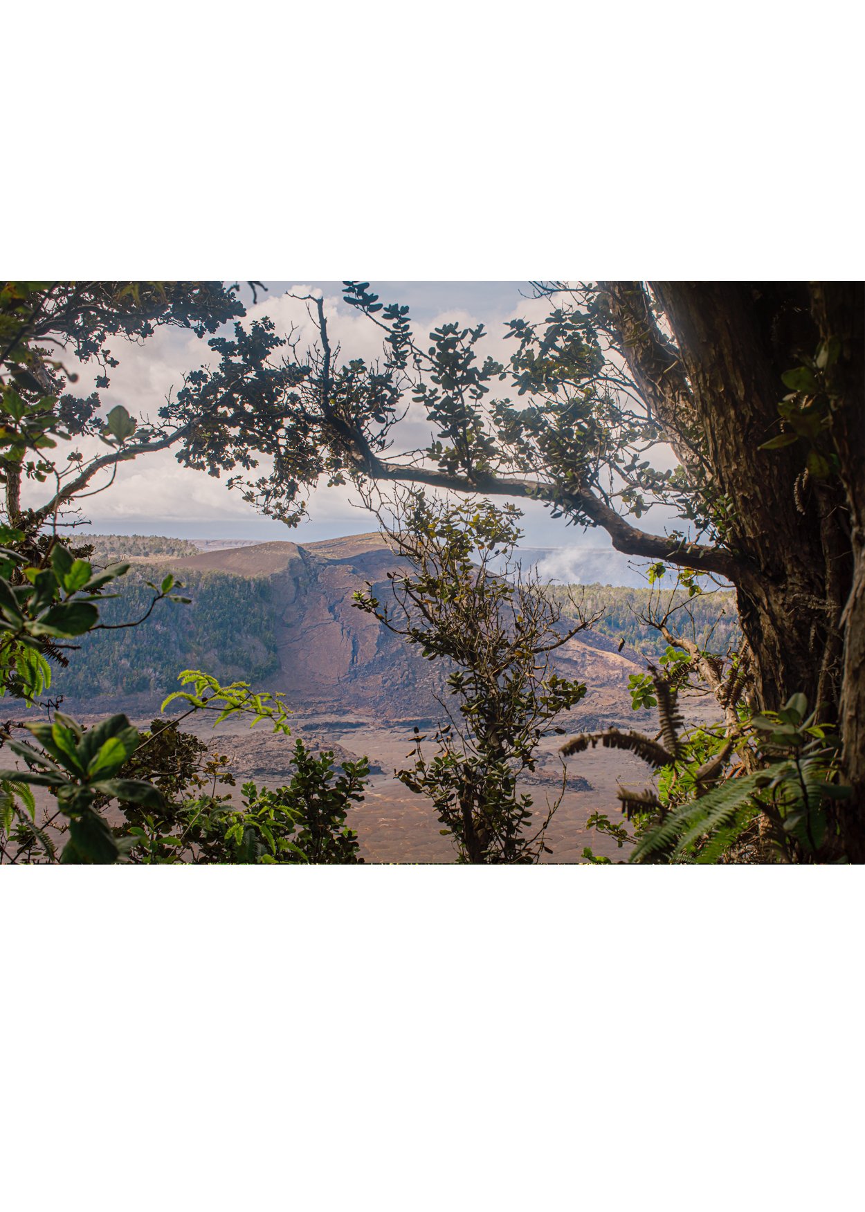 wilder-california-hawaii-tropical-volcano-fine-art-print.jpg