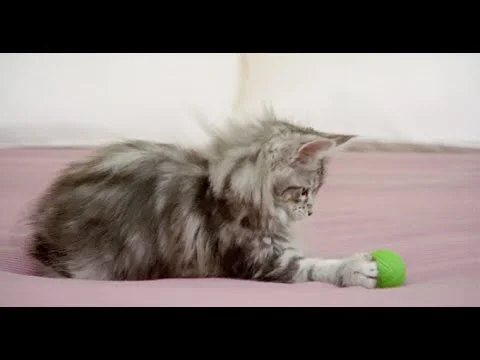 What tugs at your heart?