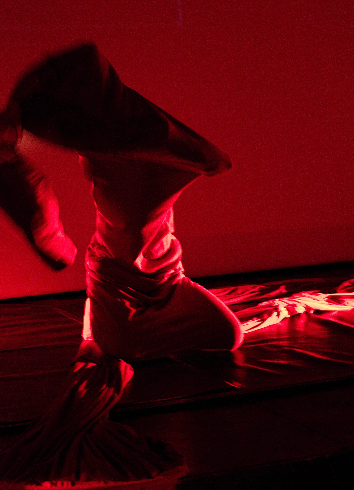 vestibular_pl_DSC7662.jpg