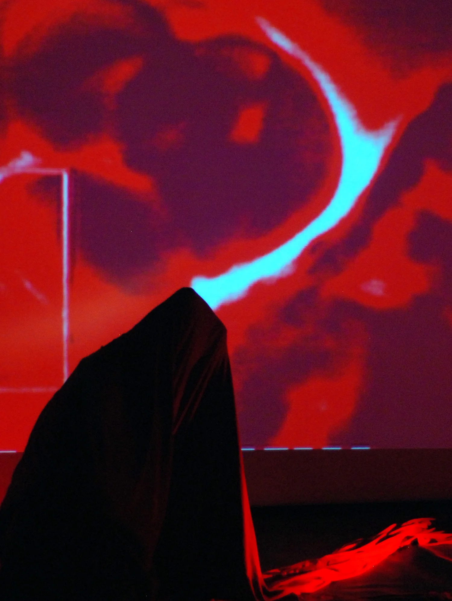 vestibular_residual_darkness 007.jpg