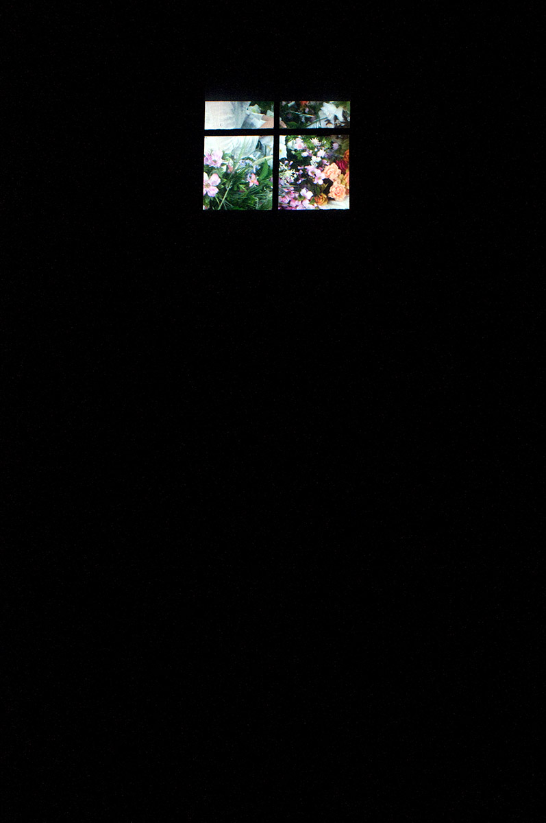 flower video.jpg