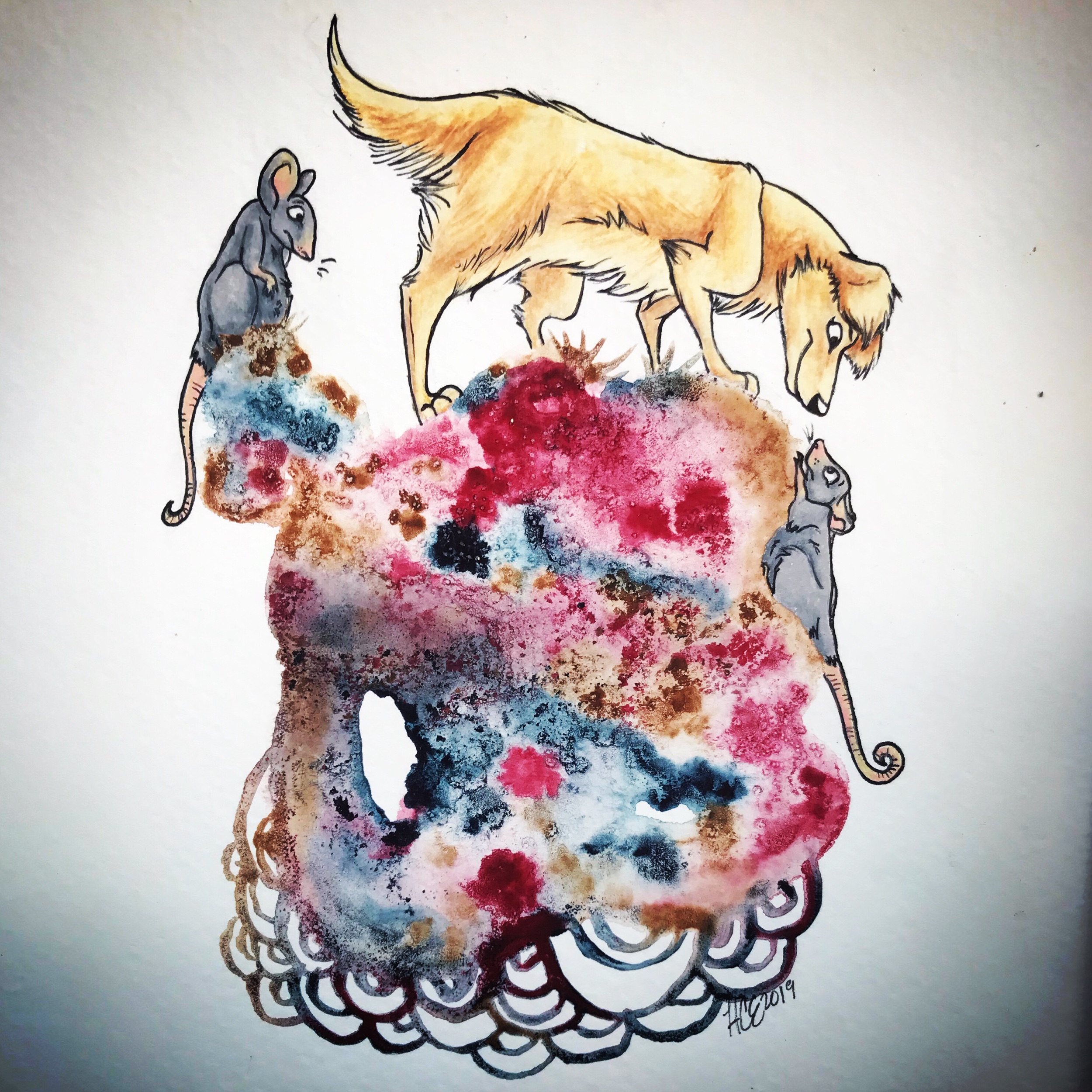 4C8F719E-66FD-4A04-A16B-6284B80278B5.jpeg