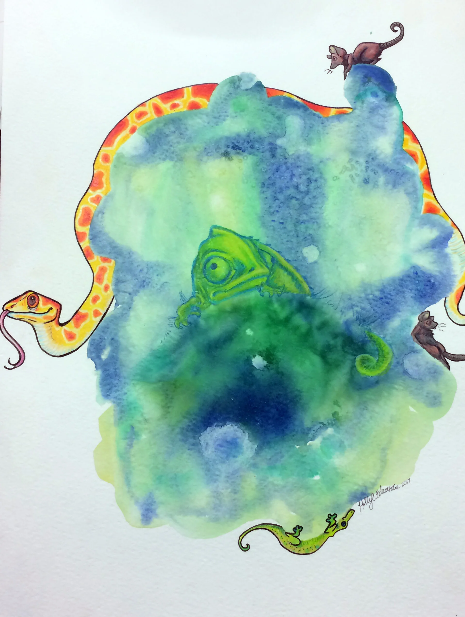 'Reptile World' 11x14'' Print