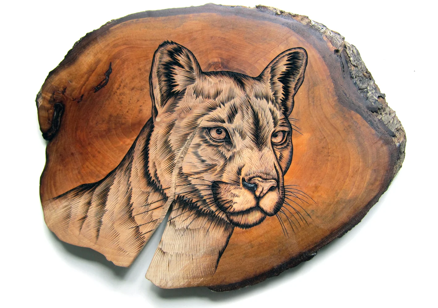 woodcougar.jpg
