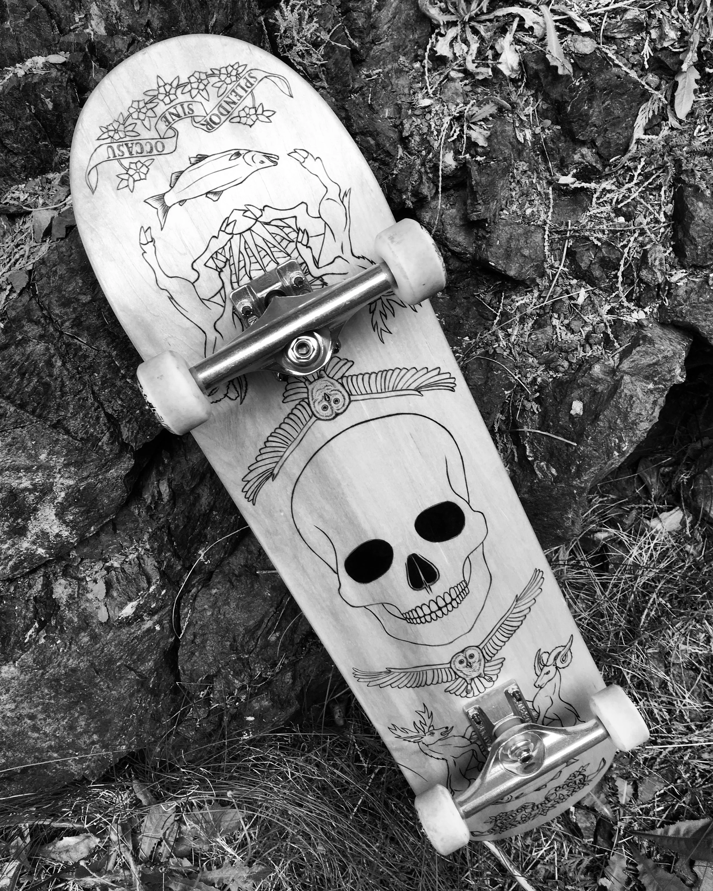 skull.jpg