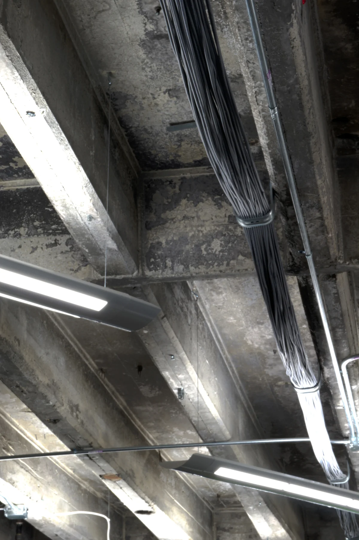 Untitled_HDR25.jpg