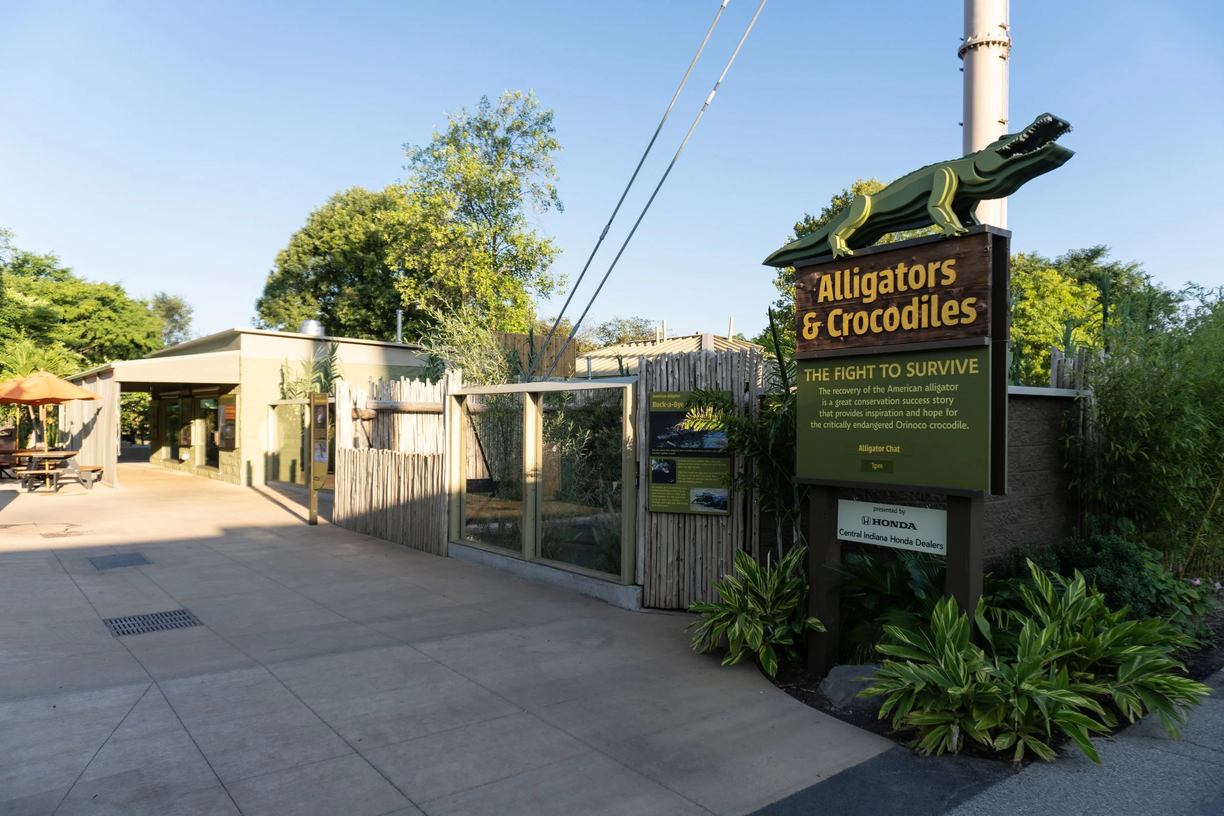 Indianapolis Zoo Crocodilian-9.jpg