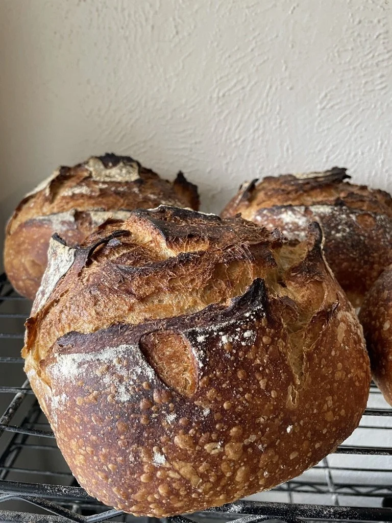 Classic Country Sourdough