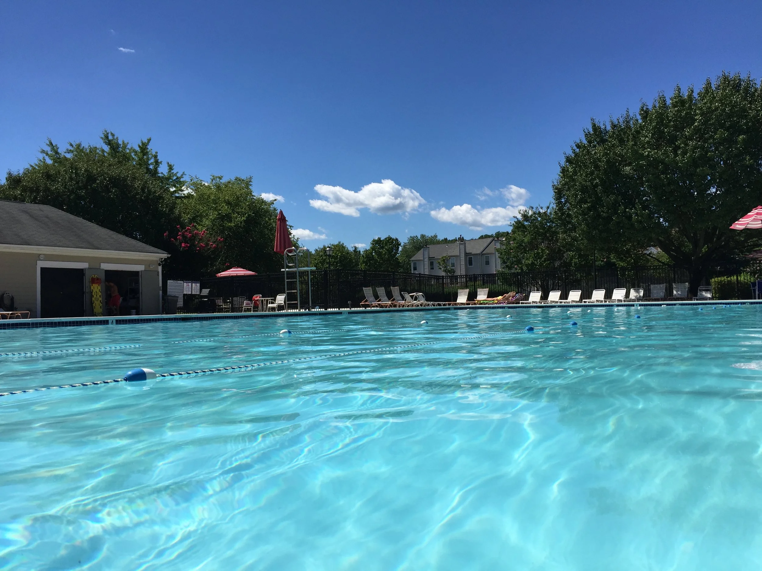 swimmingPool3.jpg